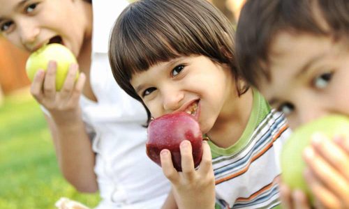 Portada-Enfoque-de-curso-de-vida-en-el-trabajo-residencial